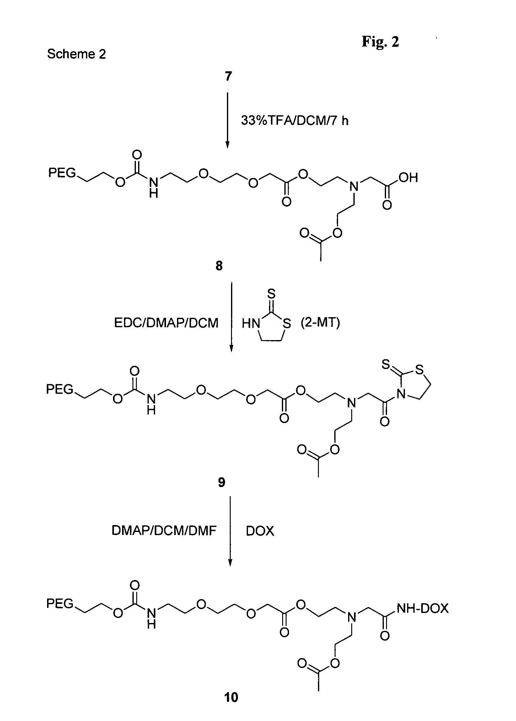 Releasable polymeric conjugates based on biodegradable linkers