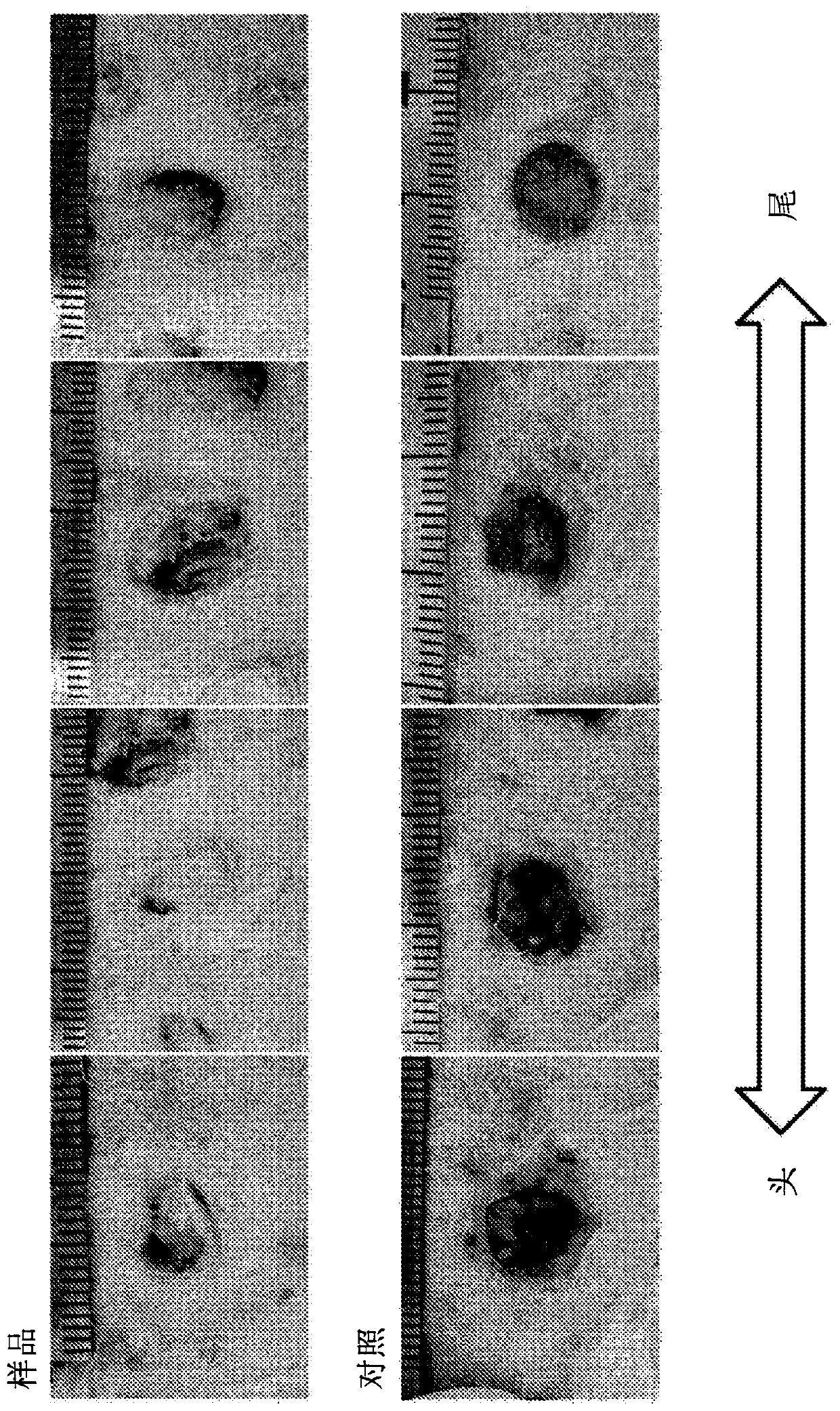 Zinc chloride hydroxide having excellent zinc ion sustained-releasability and production method therefor