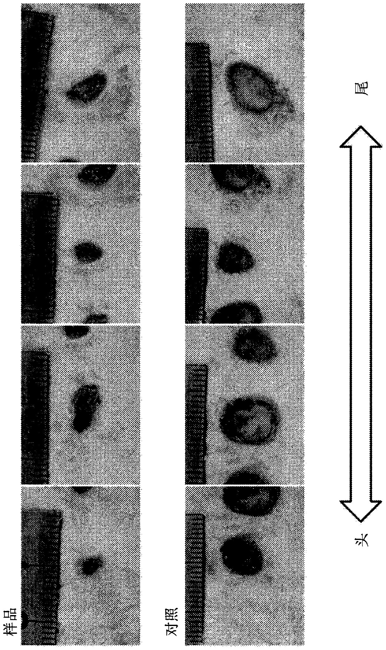 Zinc chloride hydroxide having excellent zinc ion sustained-releasability and production method therefor