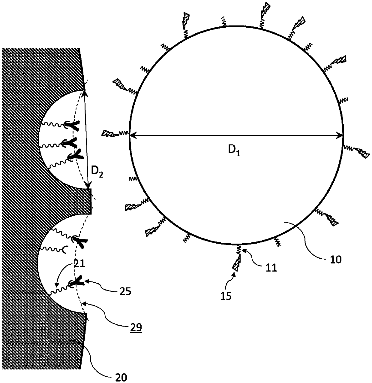 Method for preparing peptide fragments, kit for preparing peptide fragments to be used therein, and analysis method