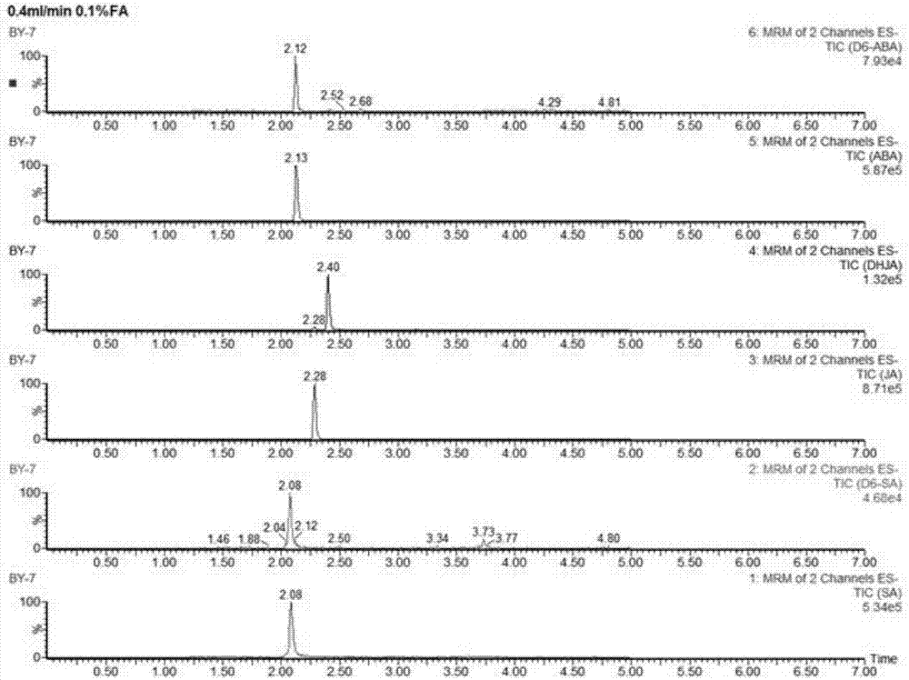 Method for simultaneously detecting seven endogenous hormones in wheat leaves