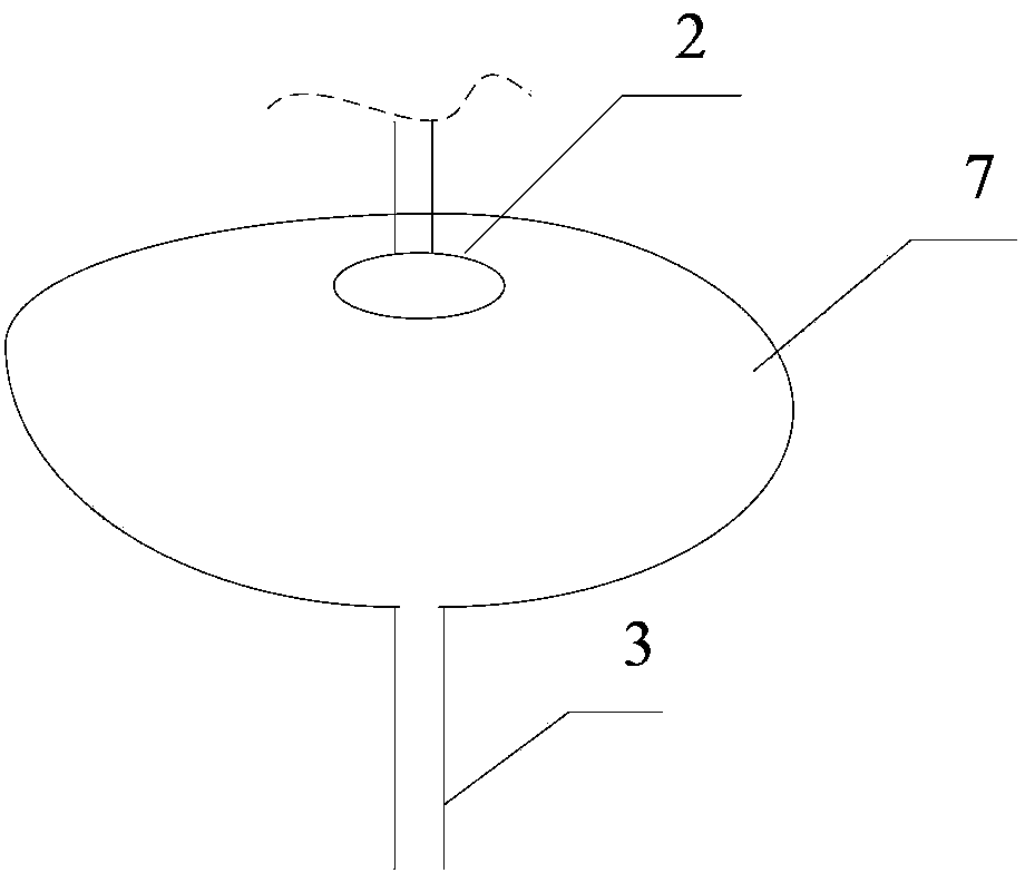 Sealing agent curing device