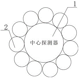 Reverse Compton scattering and background ray lung pollution detection device and method