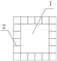 Reverse Compton scattering and background ray lung pollution detection device and method