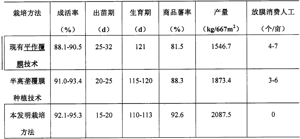 Half-height ridge mulching and self-germination type potato cultivation method