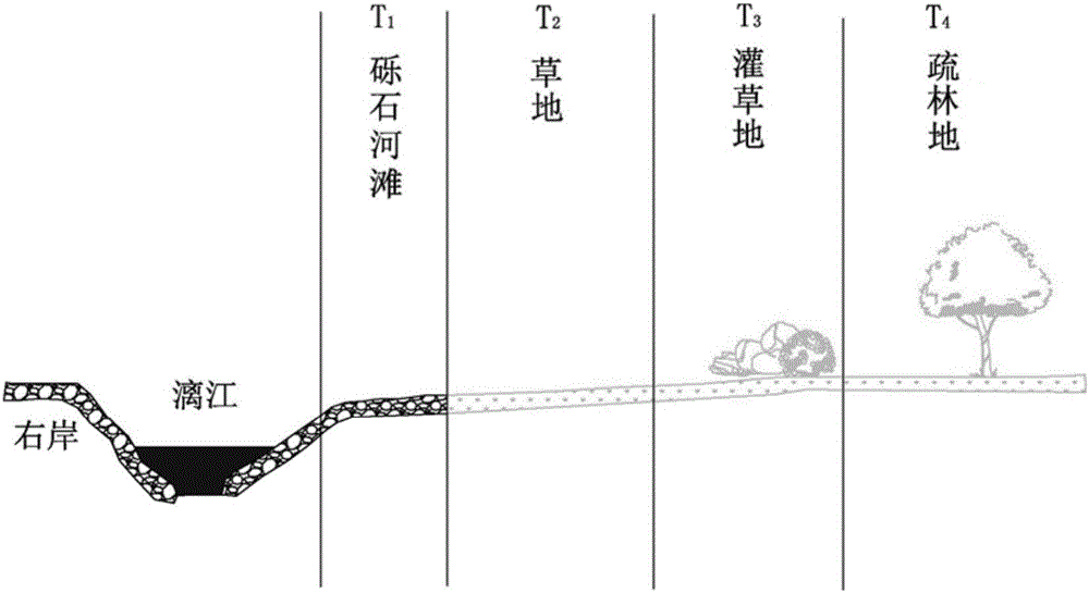 Dividing method for land and water ectone