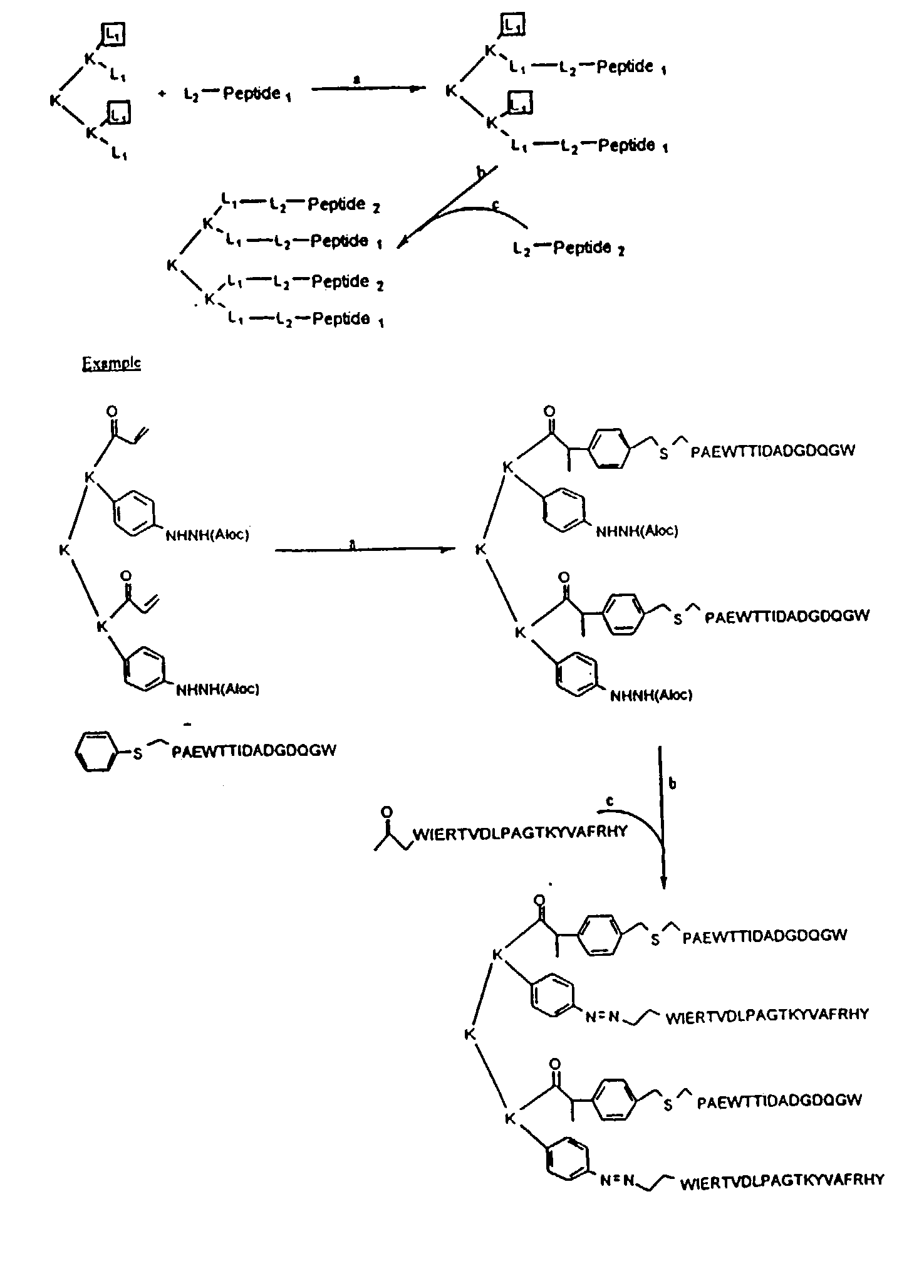 Synthetic peptide constructs for the diagnosis and treatment of periodontitis associated with <i>Porphyromonas gingivalis </i>