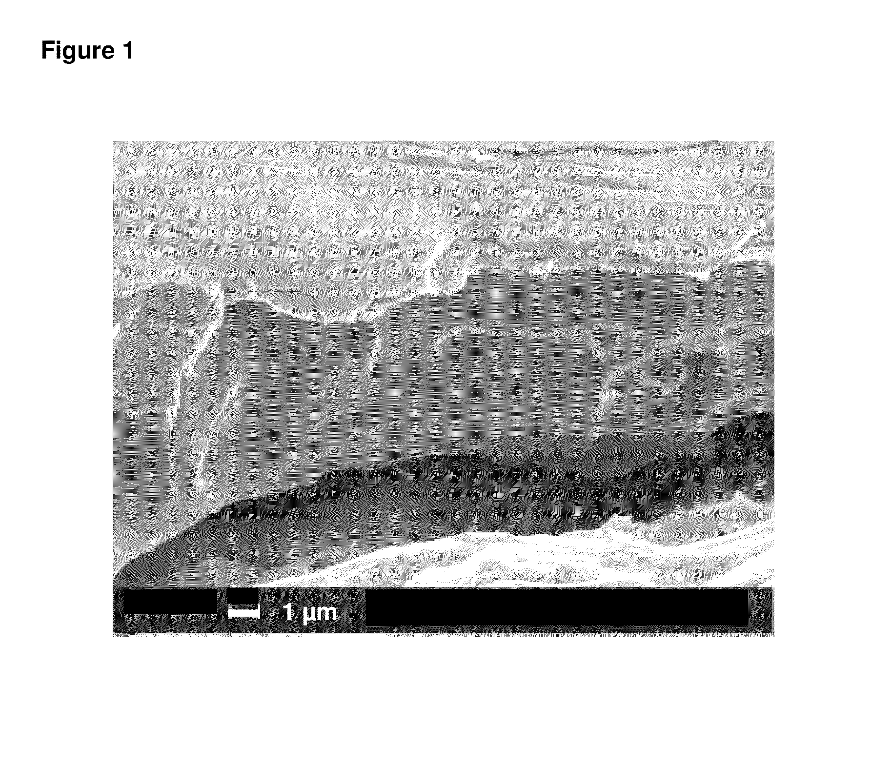 Method for electroless nickel-phosphorous alloy deposition onto flexible substrates