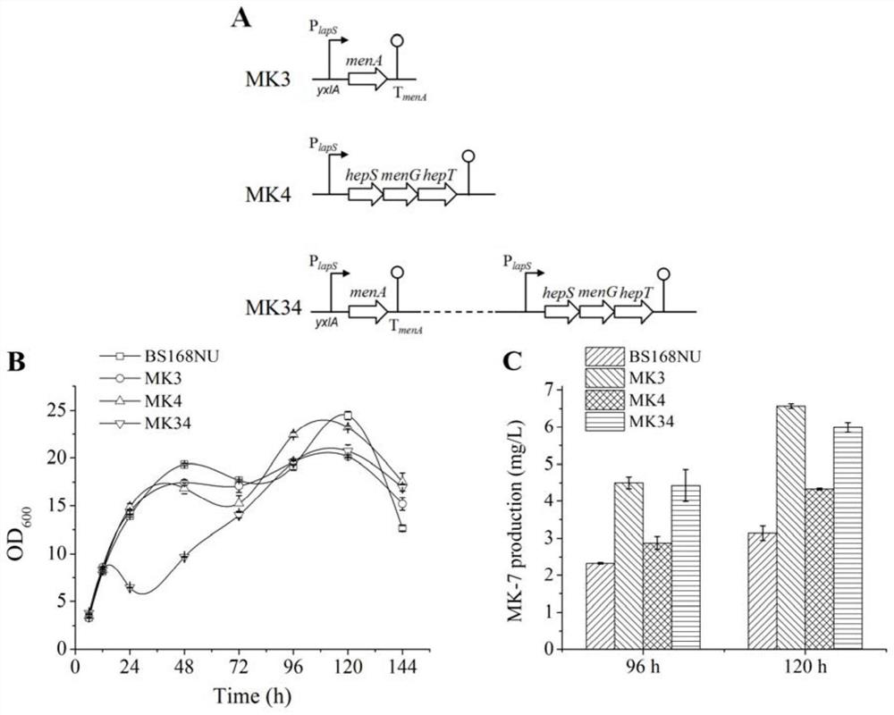 Gene overexpression and obtained strains, applications