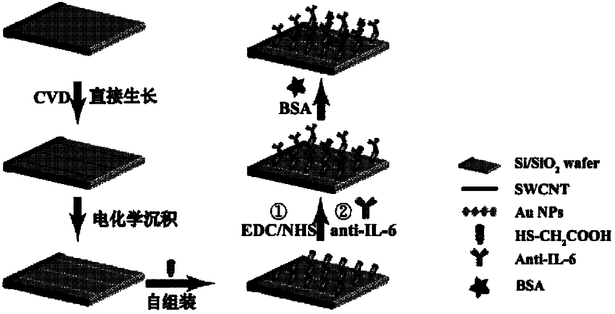 Electrochemical immunosensor for directly detecting IL-6 (interleukin-6) antigen and application thereof