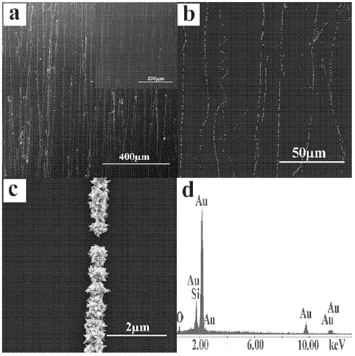 Electrochemical immunosensor for directly detecting IL-6 (interleukin-6) antigen and application thereof