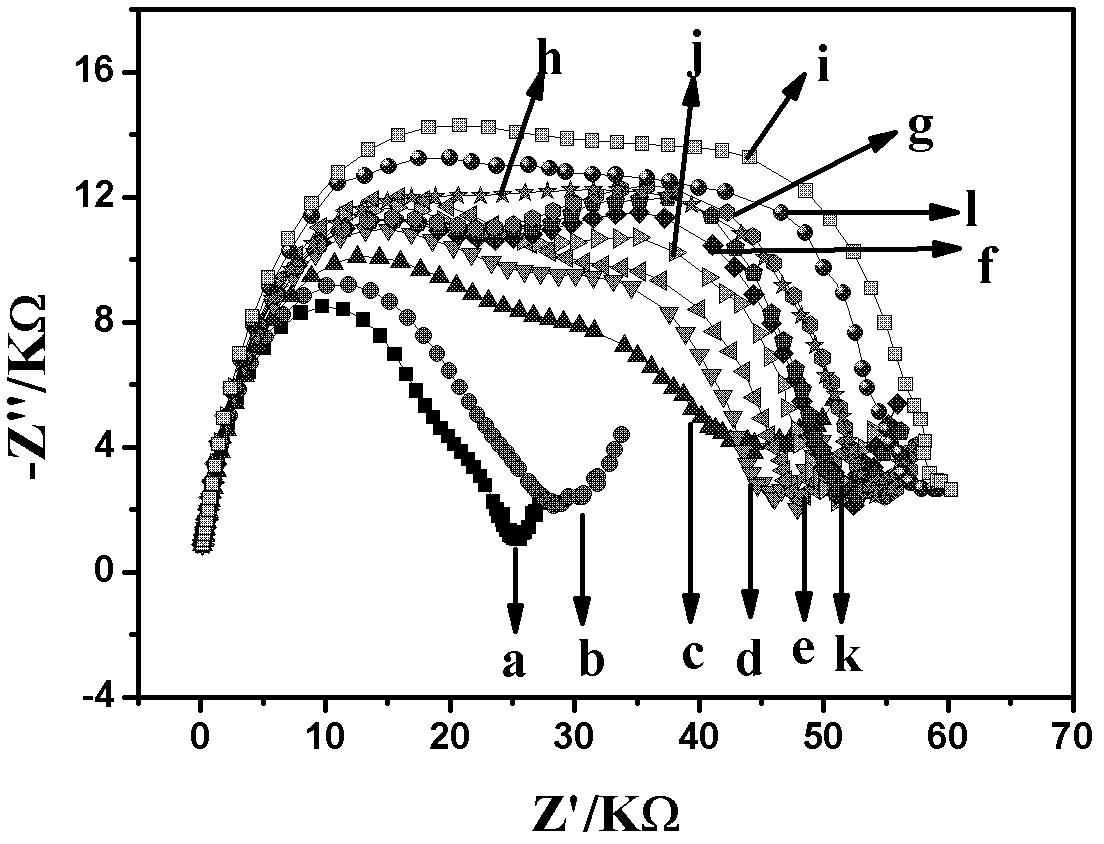 Electrochemical immunosensor for directly detecting IL-6 (interleukin-6) antigen and application thereof