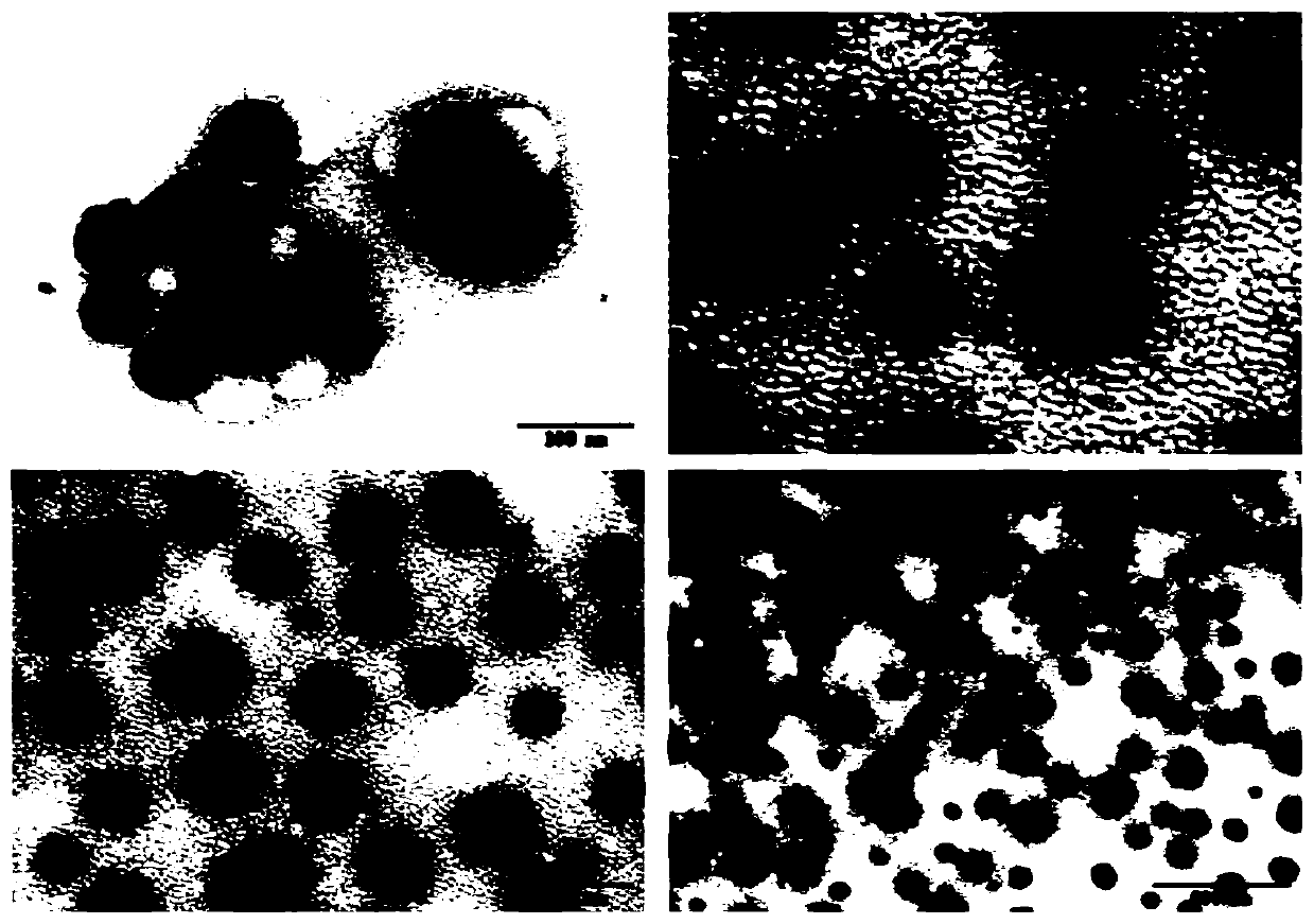 Osthole micro-emulsion as well as preparation method and application of osthole micro-emulsion