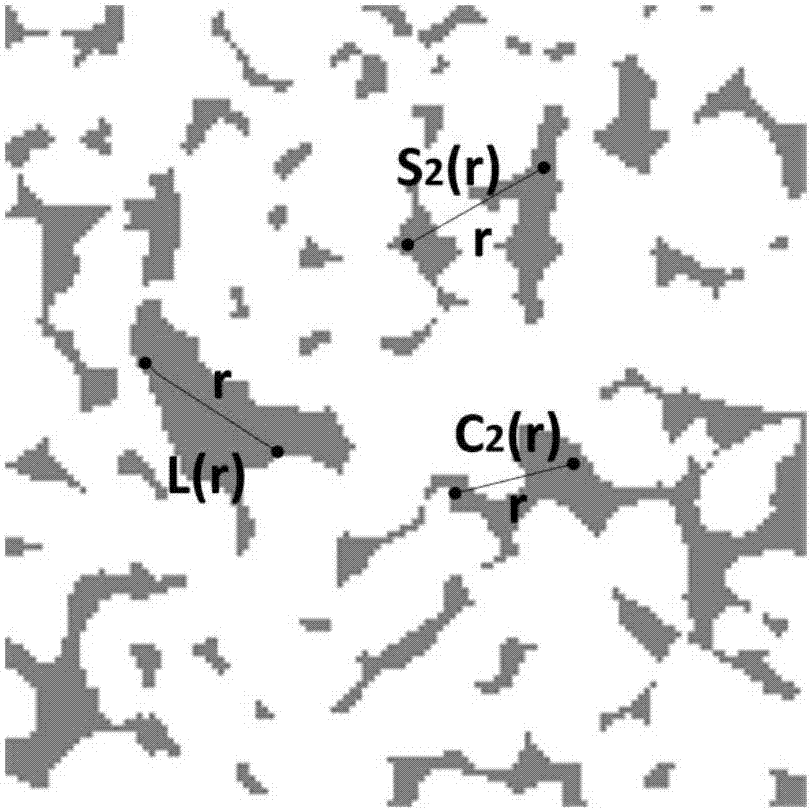 Co-occurrence correlation function-based porous medium three-dimensional modeling method