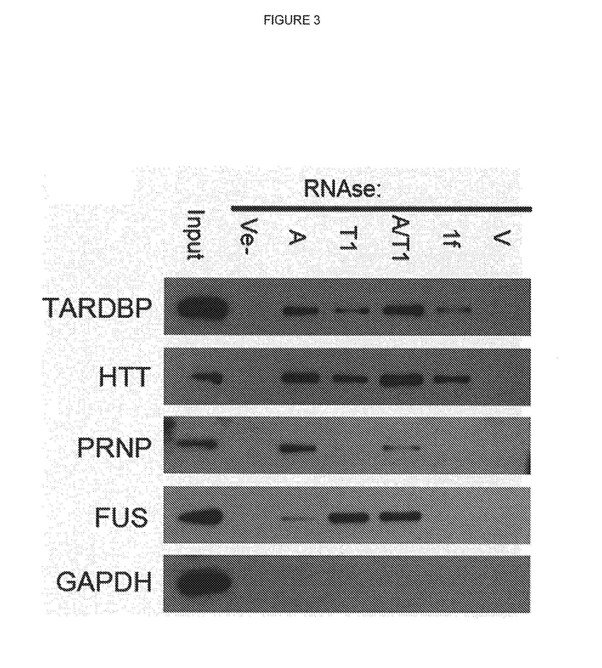 Use of RNA removal to initiate protein aggregation