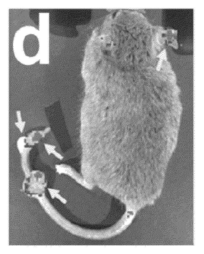 Bioluminescence imaging of myeloperoxidase activity in vivo, methods, compositions and apparatuses therefor