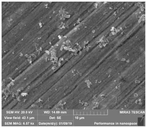 High-strength nanometer reinforced steel capable of inhibiting marine organism fouling and preparation method thereof