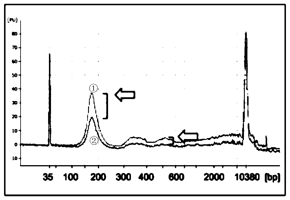 Kit for extracting and enriching free DNAs and extraction method for free DNAs