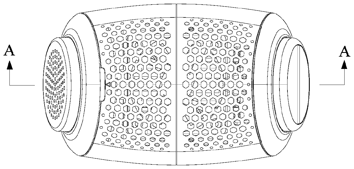 Portable skin therapeutic instrument