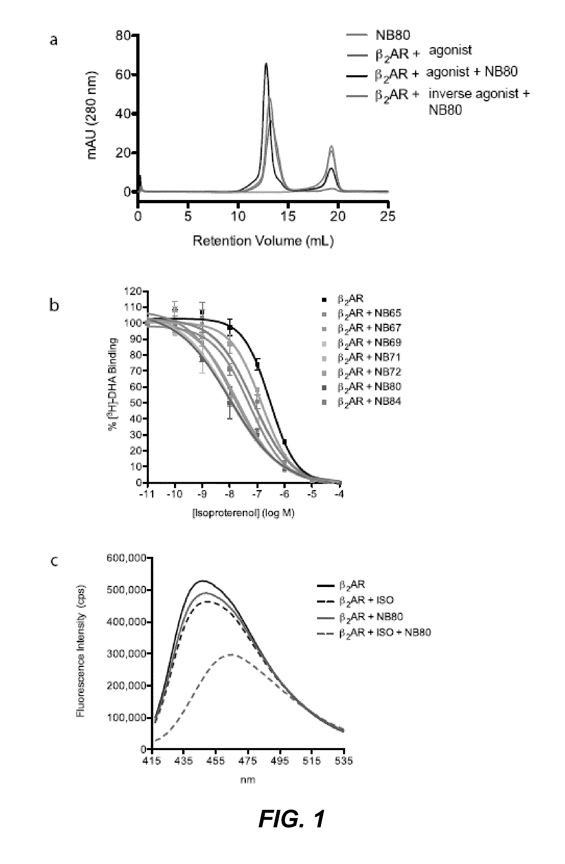 Protein binding domains stabilizing functional conformational states of GPCRs and uses thereof