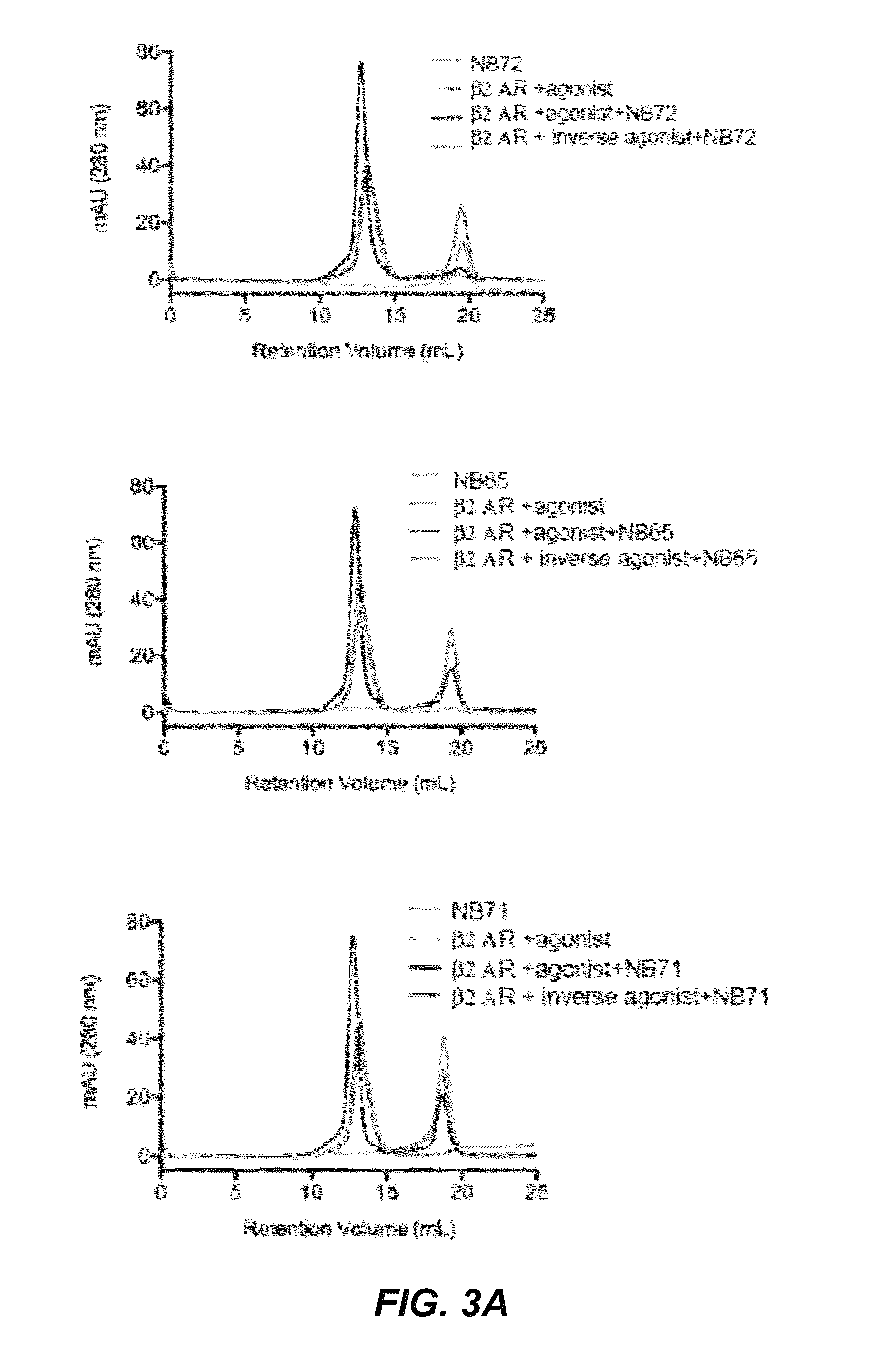 Protein binding domains stabilizing functional conformational states of GPCRs and uses thereof