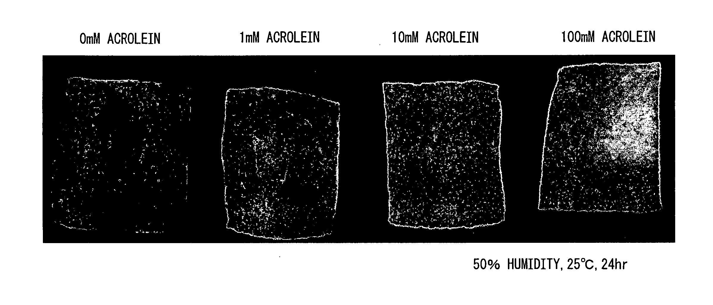 Method for evaluating transparency and water holding capacity of stratum corneum using oxidized protein in stratum corneum as an indicator