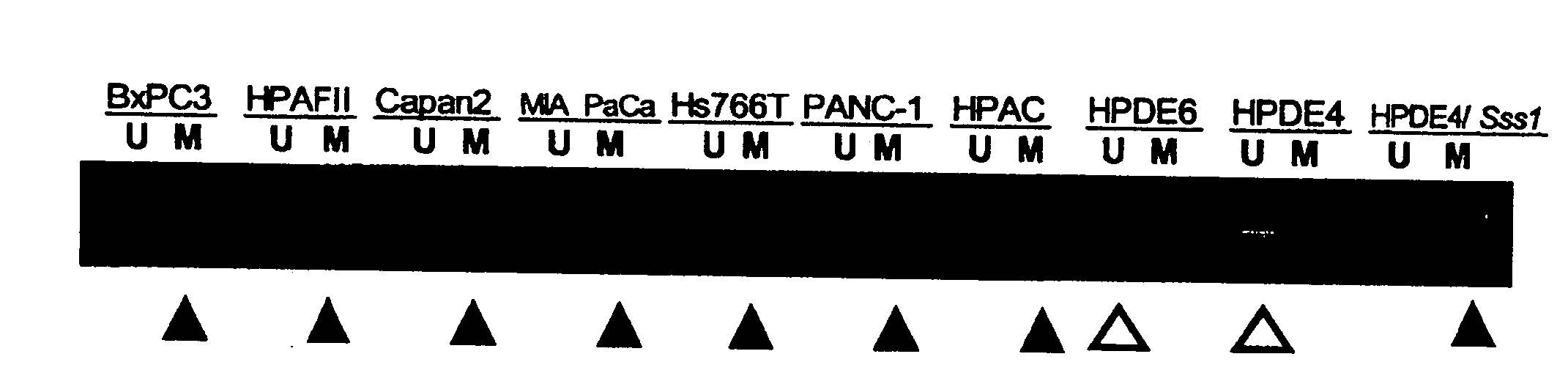 Method for Assessing Cancerous State