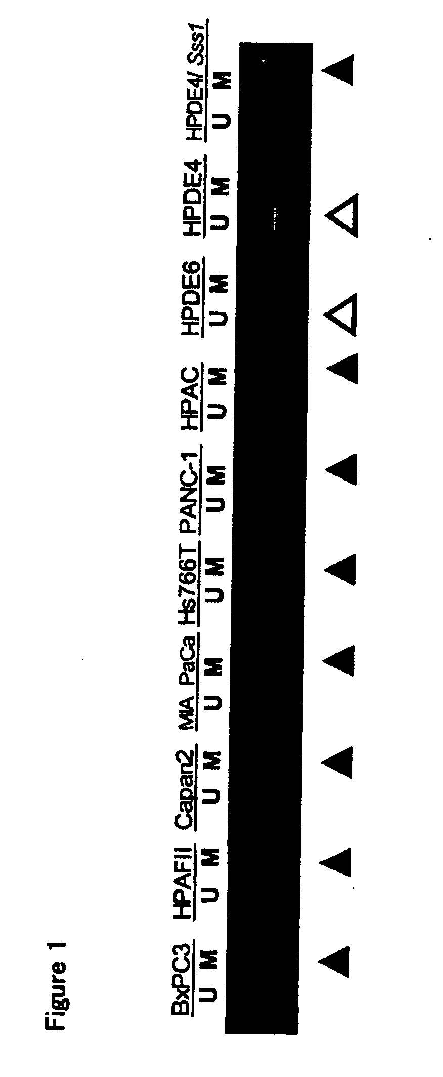 Method for Assessing Cancerous State