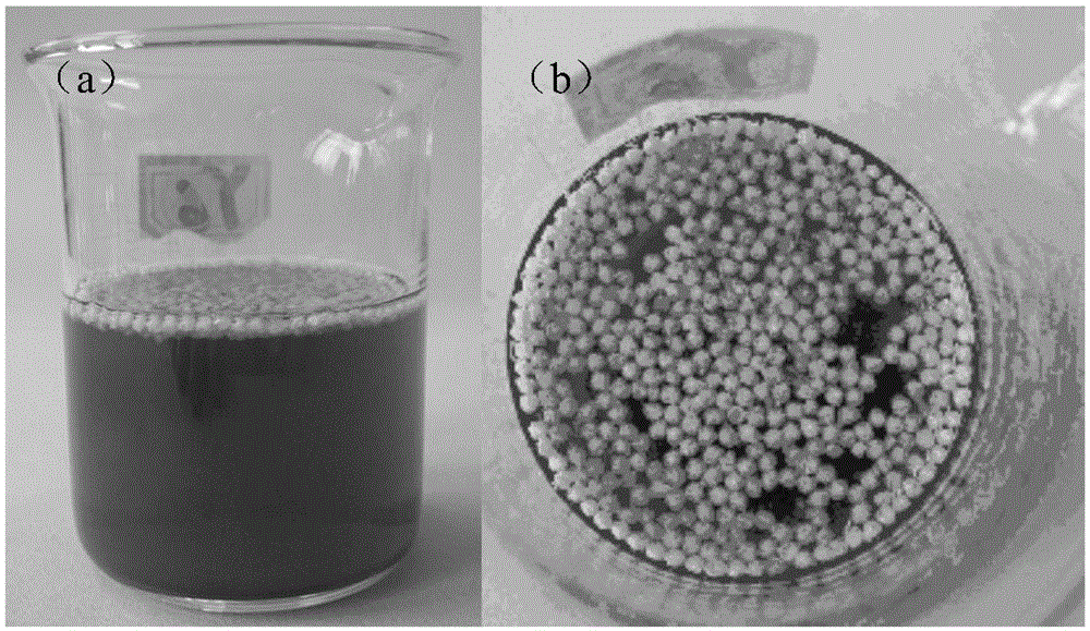 Floating-type loaded sulfite microcapsules, preparation method thereof and method for preventing fruit wine hop disease by using the microcapsules