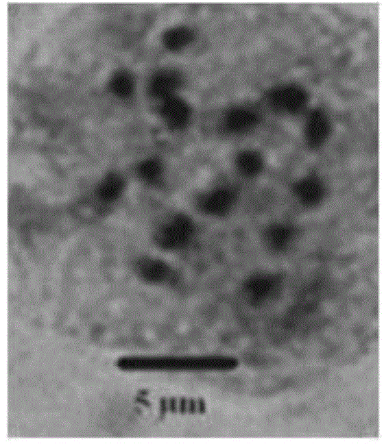 Induction method for autotetraploids of pomegranates