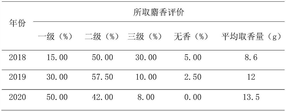 Special pellet feed for forest musk deer and preparation method thereof