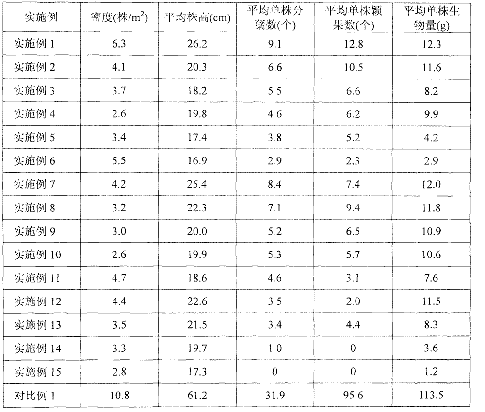 Method for replacing and controlling cenchrus paciflorus by sunflower