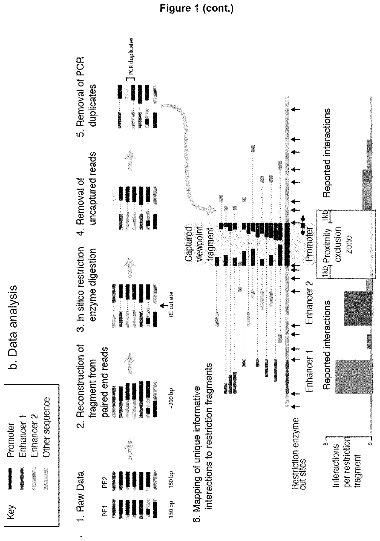 Method of analysing DNA sequences