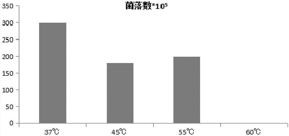 Tetramethylpyrazine-producing bacillus licheniformis and application thereof