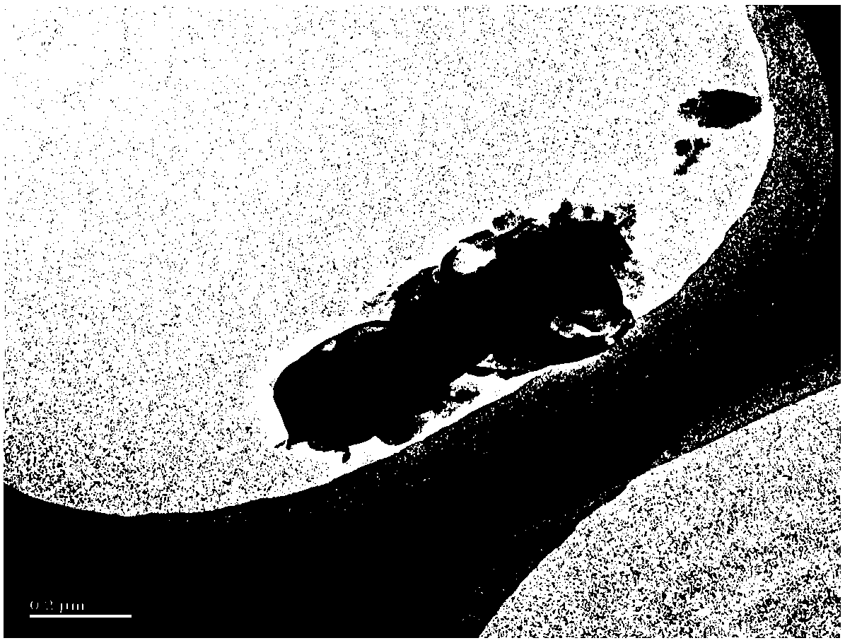 Preparation method of molybdenum disulfide-halloysite nano-tube composite material