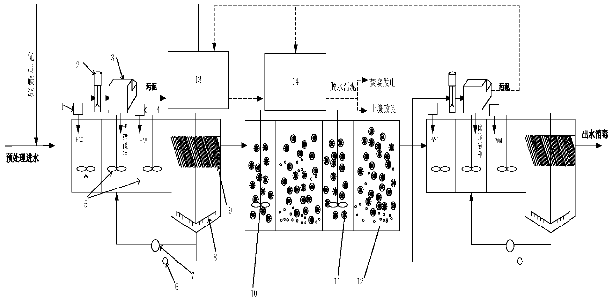 Sewage treatment system and sewage treatment process for strengthening efficient utilization of raw water carbon source