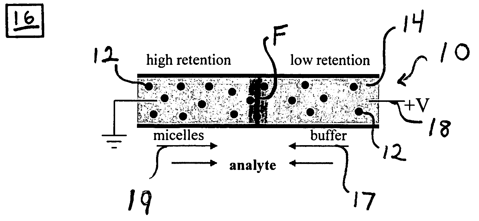 Micellar gradient focusing