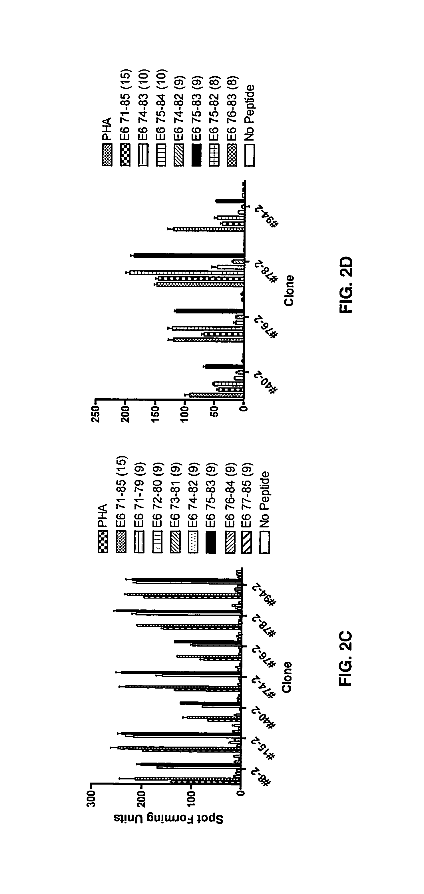 HPV E6 protein T cell epitopes and uses thereof