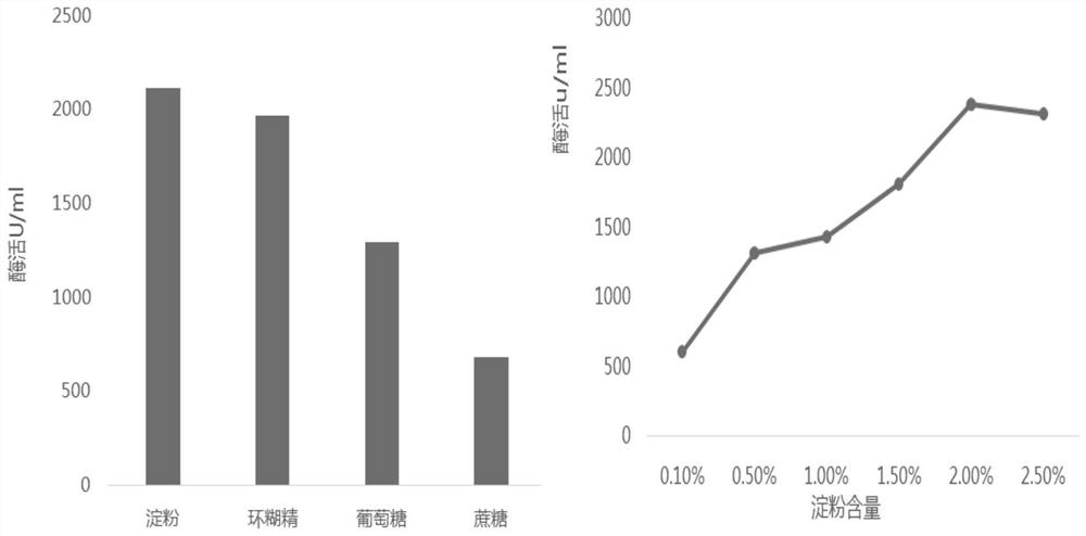 Fermentation and cultivation method of a strain of Aspergillus producing β-cyclodextrin glucosyltransferase