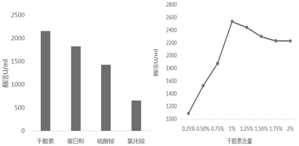 Fermentation and cultivation method of a strain of Aspergillus producing β-cyclodextrin glucosyltransferase