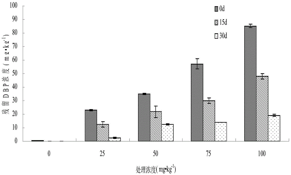 A fungus capable of simultaneously degrading phthalates and pesticides and its application