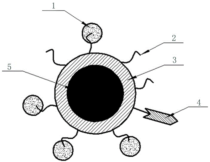 Nano-carbon crystal drug carrier for target identification of tumor cells and preparation method of drug carrier