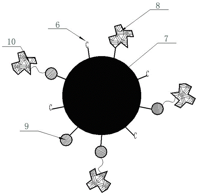 Nano-carbon crystal drug carrier for target identification of tumor cells and preparation method of drug carrier