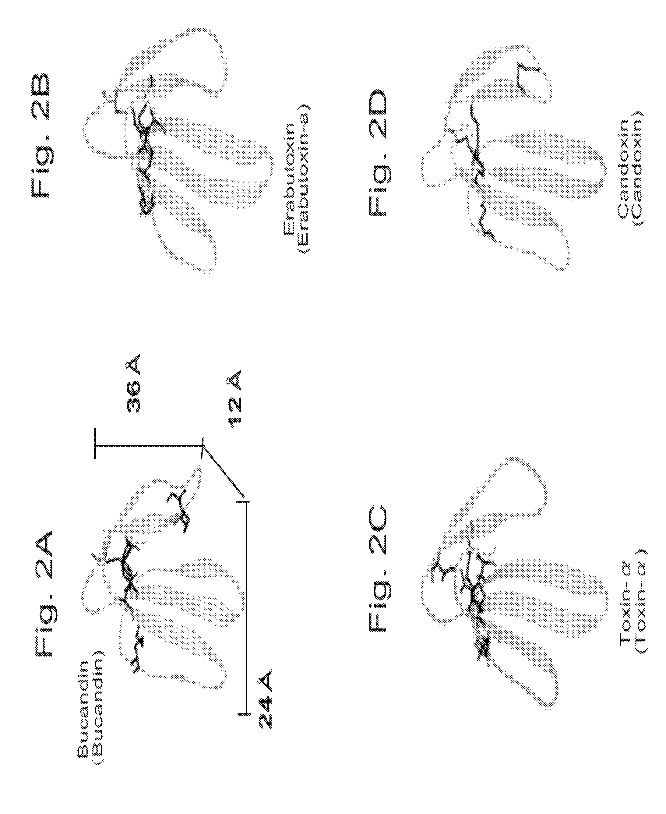 Ligand having three finger structure and a method for detecting a molecule by using thereof