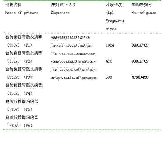 Multiple reverse transcription polymerase chain reaction detection method for swine transmissible gastroenteritis