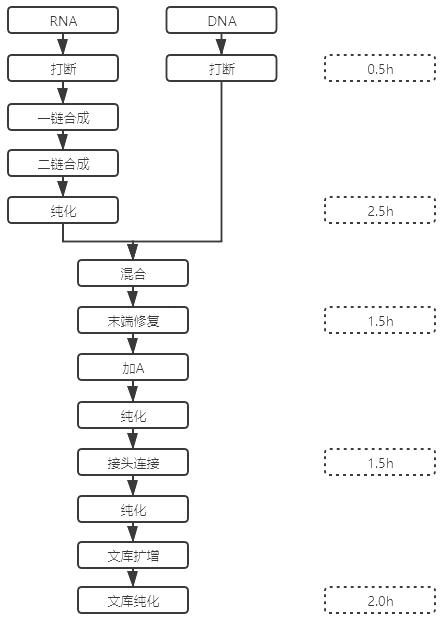 Construction method of sequencing library for pathogenic microorganism detection