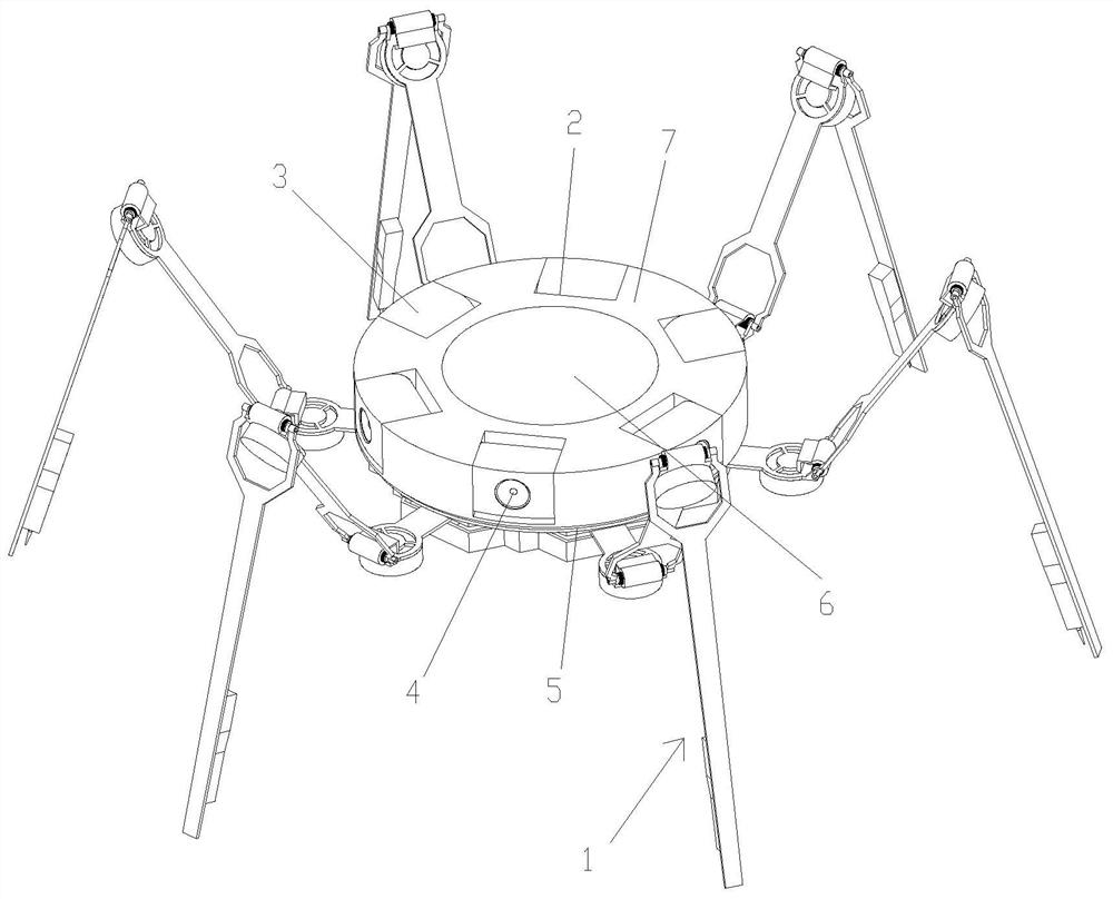 Bionic spider detector and using method thereof