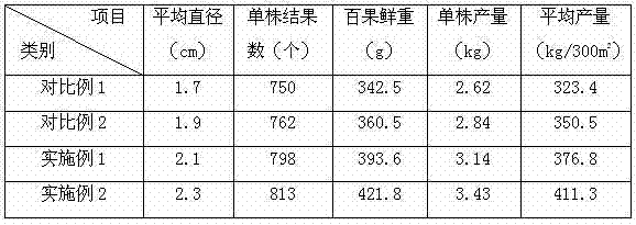 Special functional biological sustained-release fertilizer for blueberry and preparation method thereof