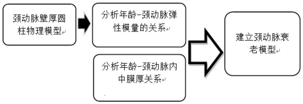 A carotid artery aging prediction method based on elastic modulus