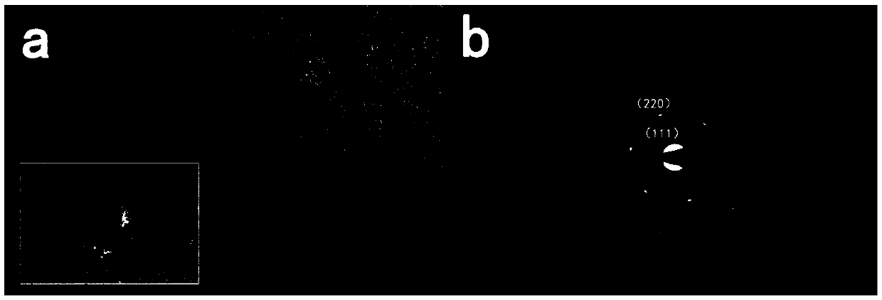 Graphene-based gas sensitive sensor material loaded with metal palladium and preparation and application thereof